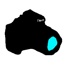poorly drawn camera